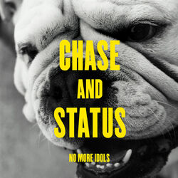 Cover of No More Idols