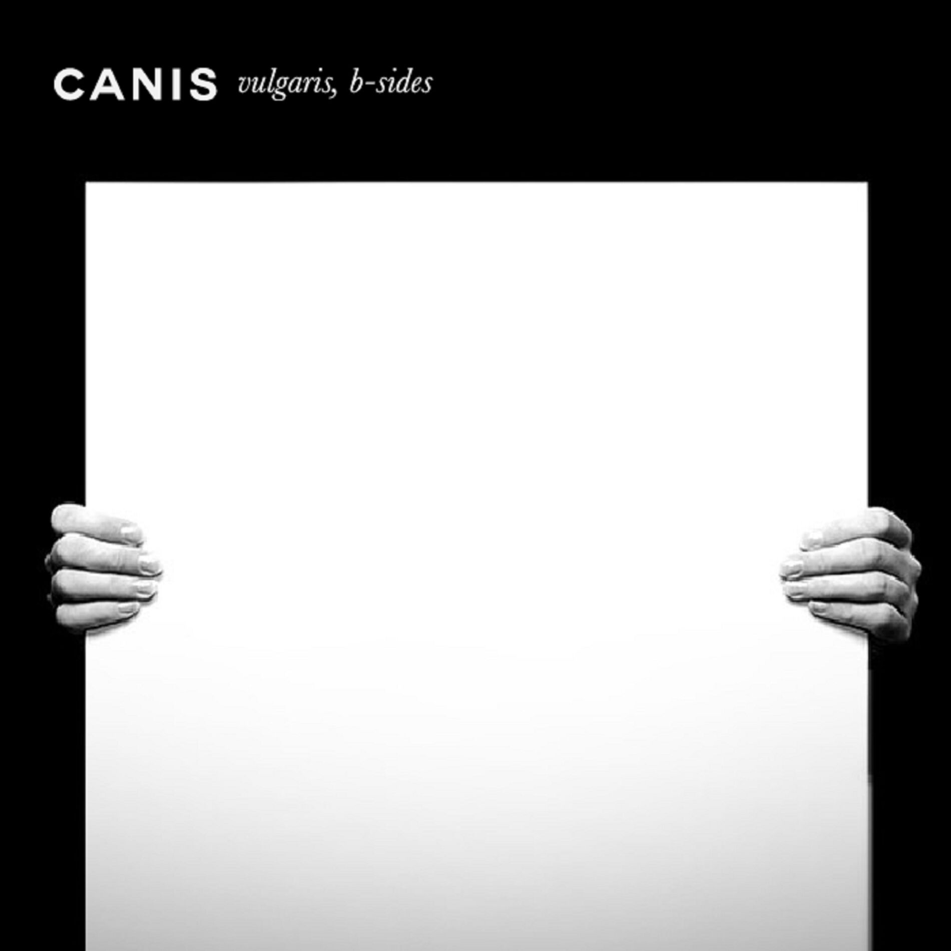 Album cover of Vulgaris - B Sides