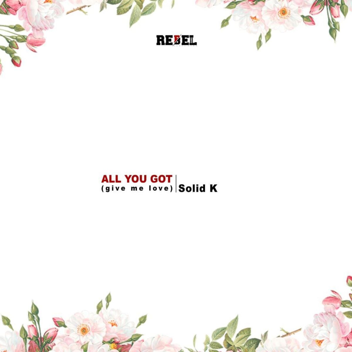 Album cover of All You Got