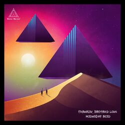 Cover of Midnight Acid