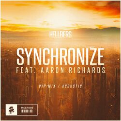 Cover of Synchronize (VIP Mix / Acoustic)
