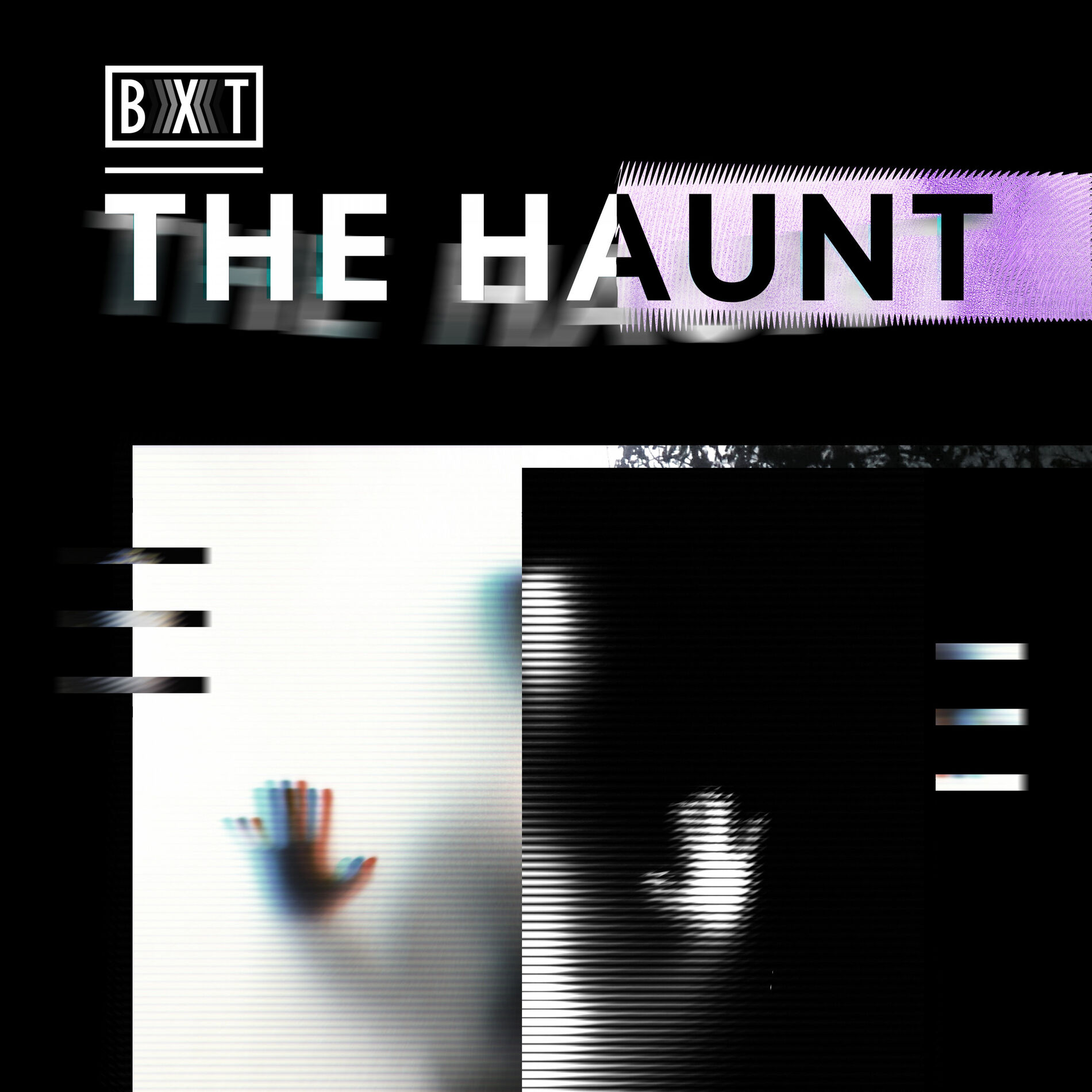 Album cover of The Haunt