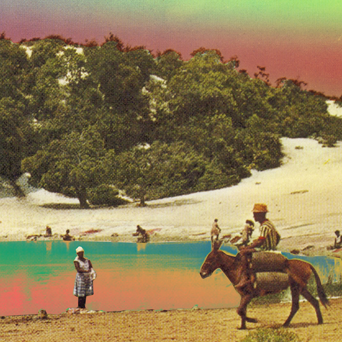 Album cover of Curió