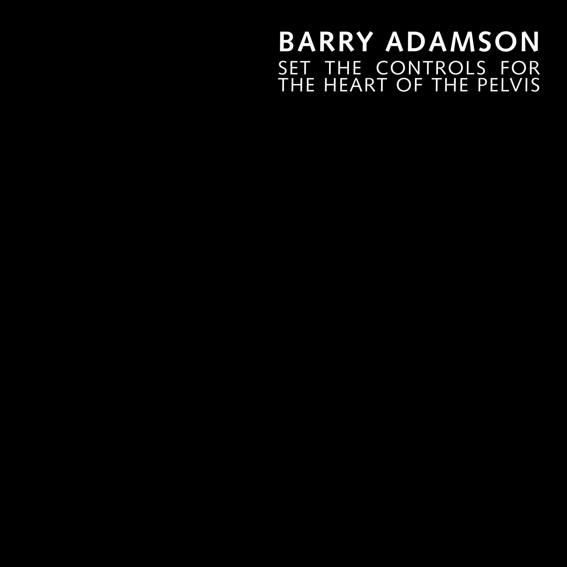 Album cover of Set the Controls for the Heart of the Pelvis (feat. Jarvis Cocker) (Single Version)