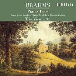 Cover of Brahms: 2 Piano Trios & 2 Hungarian Dances (Arr. for Piano, Violin and Cello)