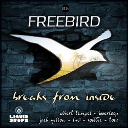 Cover of Breaks From Inside LP