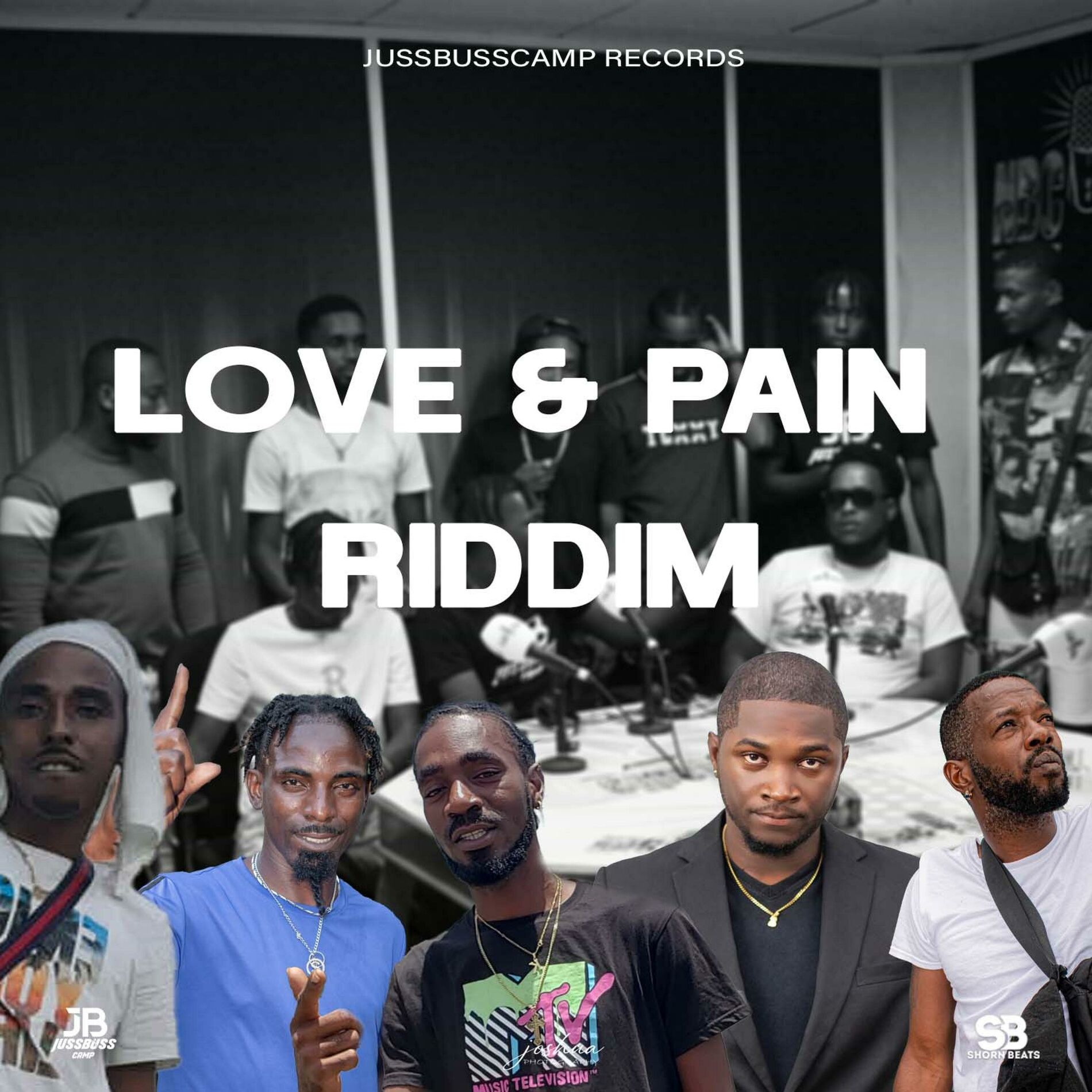 Album cover of Love & Pain Riddim
