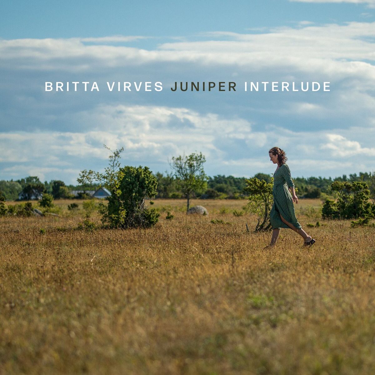 Album cover of Interlude (feat. Kurt Rosenwinkel)
