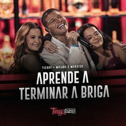 Cover of Aprende A Terminar A Briga