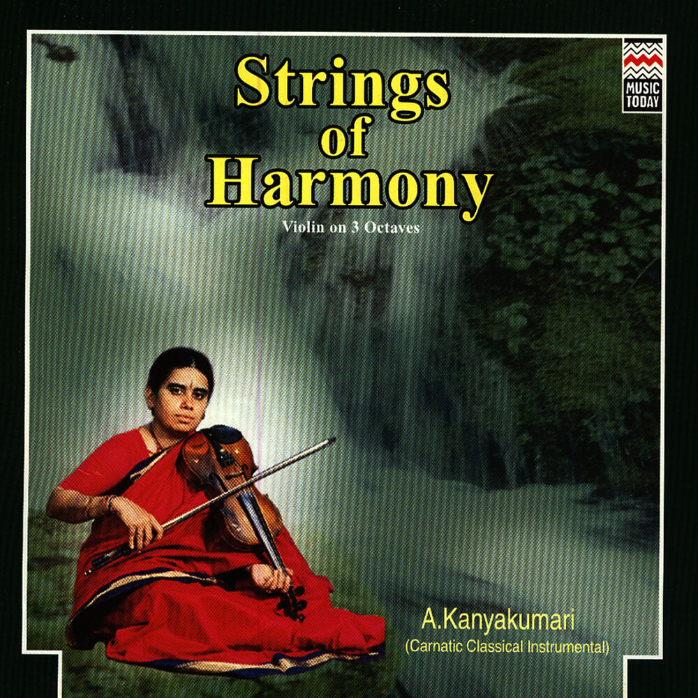 Picture of Strings Of Harmony - Violin On 3 Octaves