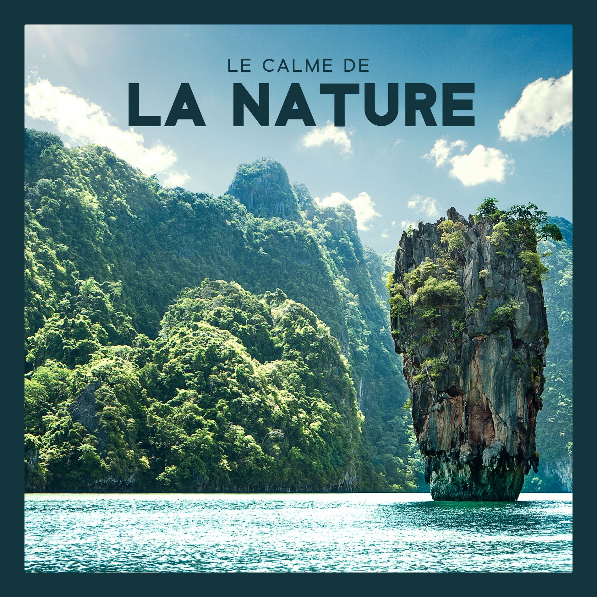 Album cover of Le calme de la nature: Détente pour les seniors, soulagement du stress