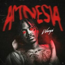 Cover of Amnesia