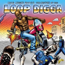 Cover of The History of the Loop Digga, 1990-2000