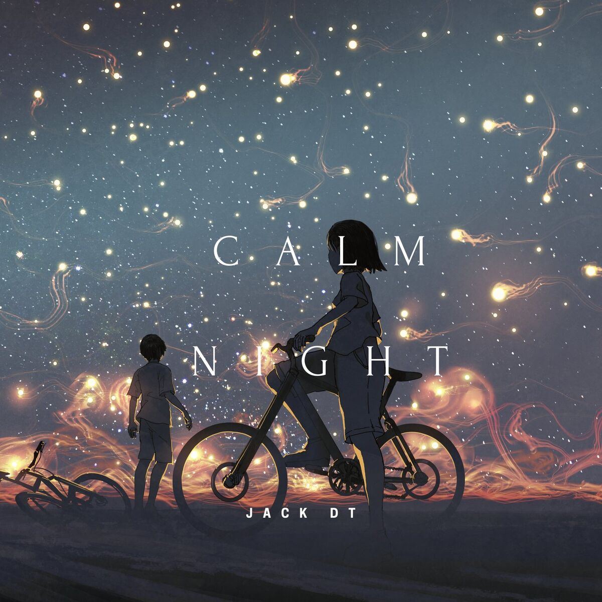 Album cover of Calm Night
