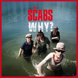 Cover of Why?