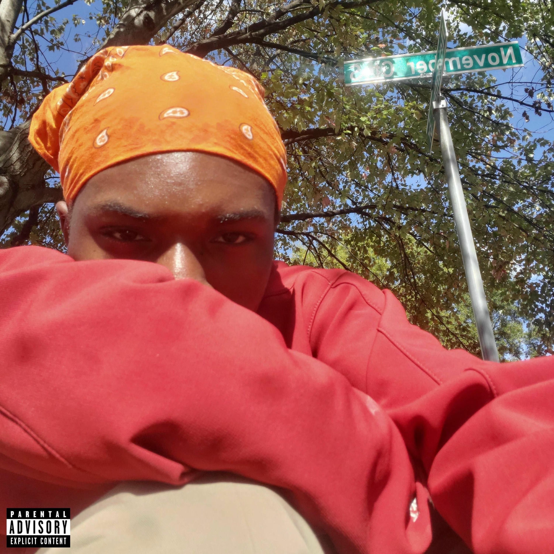 Album cover of SINCLAIR,