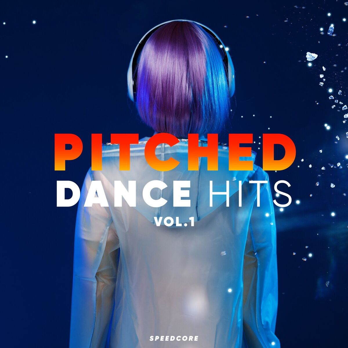Album cover of Pitched Dance Hits Vol.1
