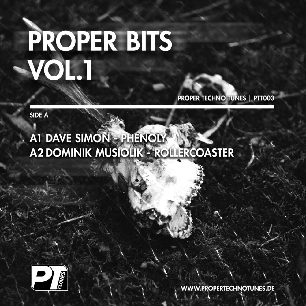 Picture of Proper Bits Vol.1