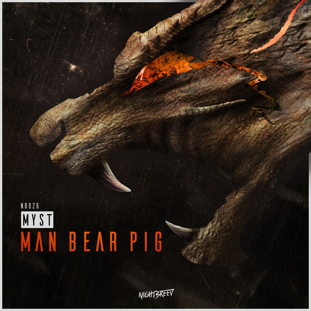 Picture of Man Bear Pig