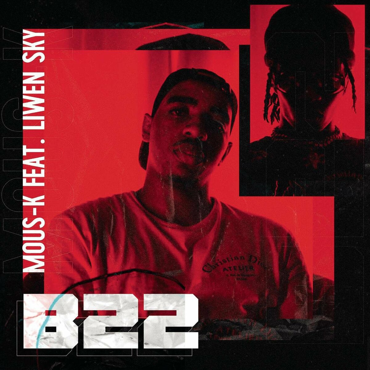 Album cover of B22 (feat. Liwen Sky) (Freestyle Playzer)
