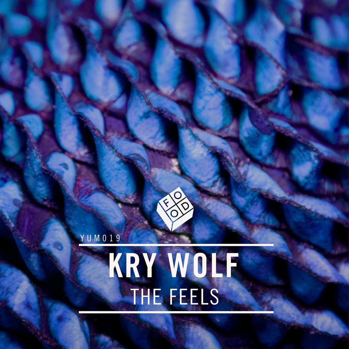 Album cover of The Feels