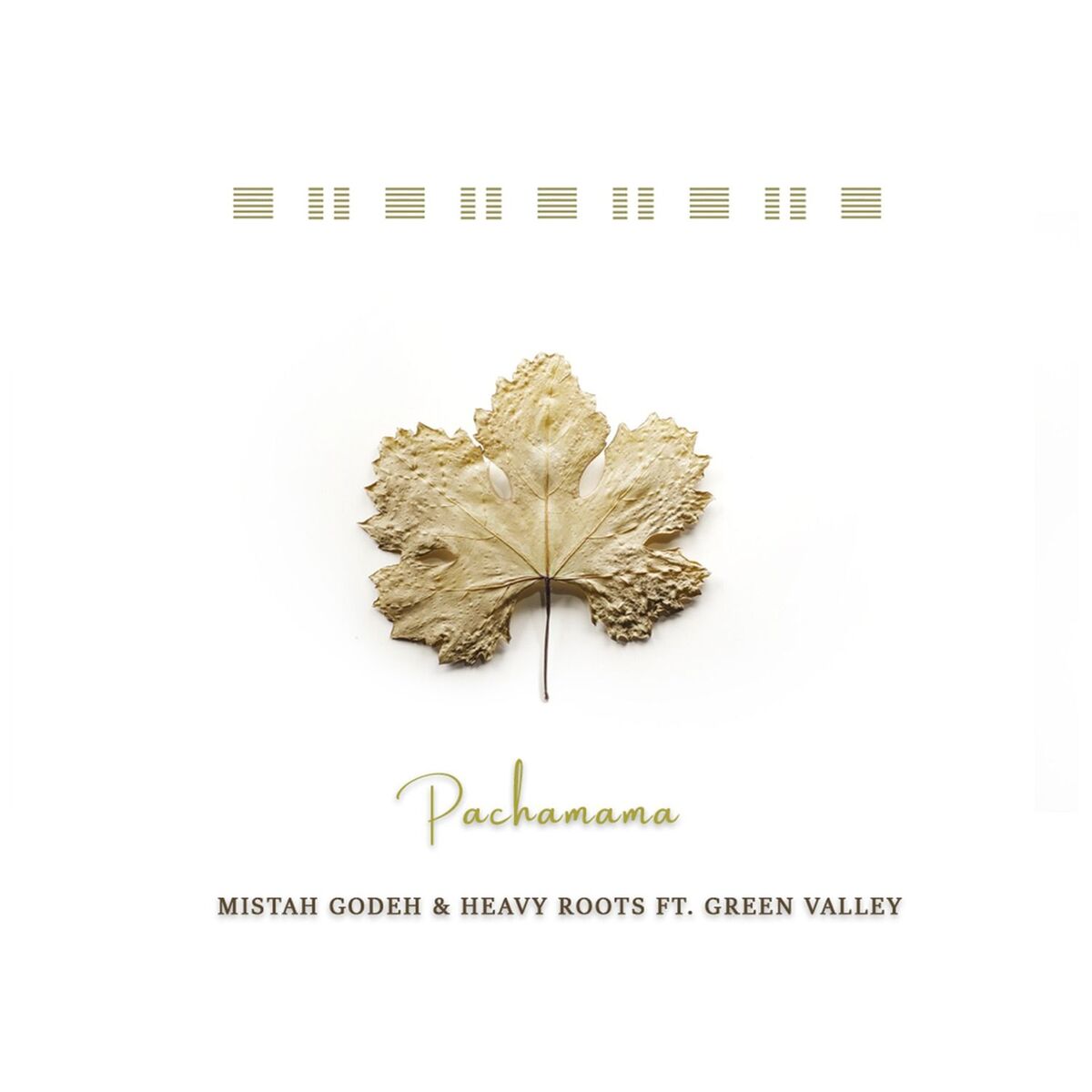 Album cover of Pachamama