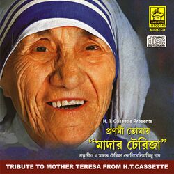 Cover of Pronomi Tomay Mother Terasha