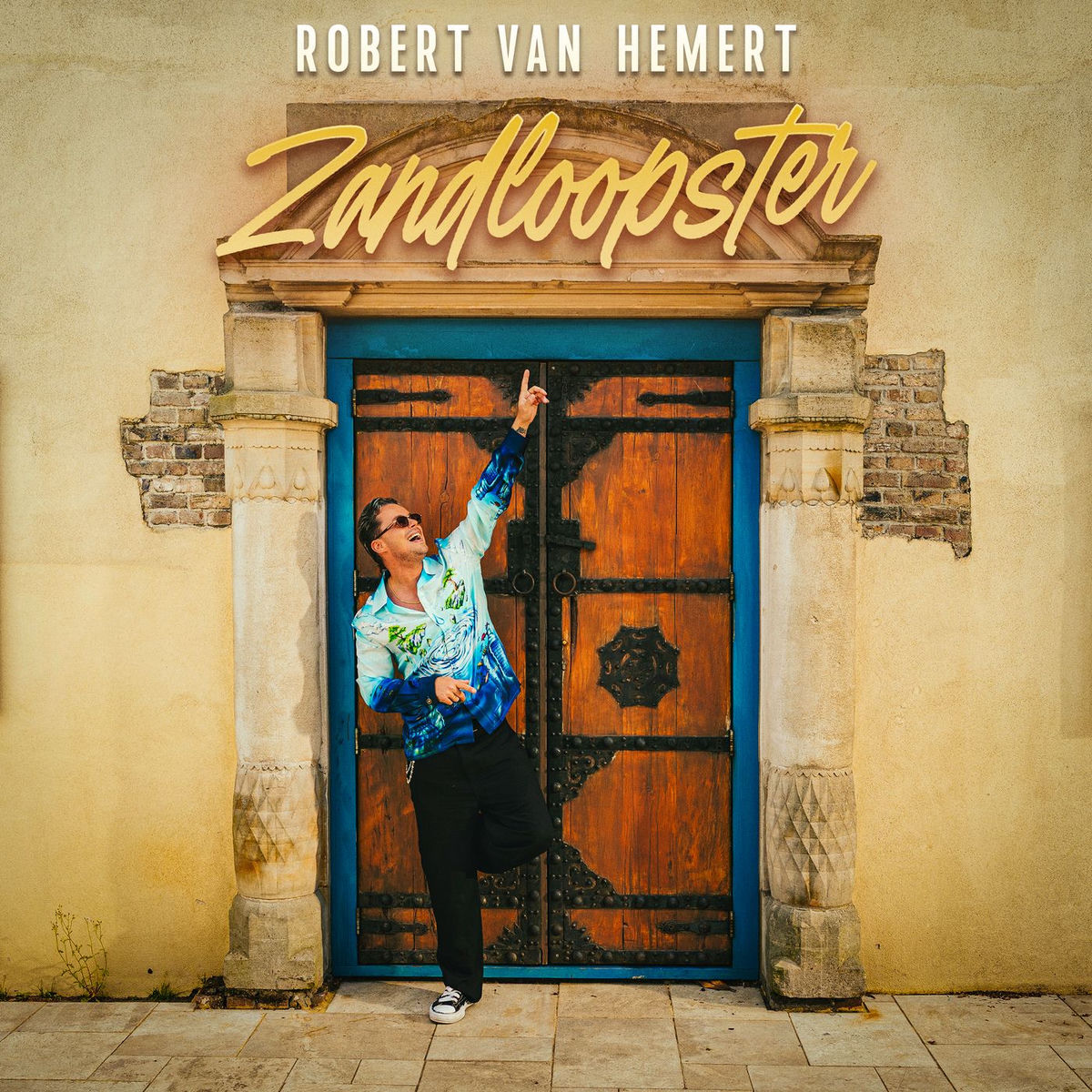 Album cover of Zandloopster