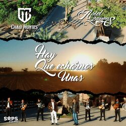 Cover of Hay Que Echarnos Unas