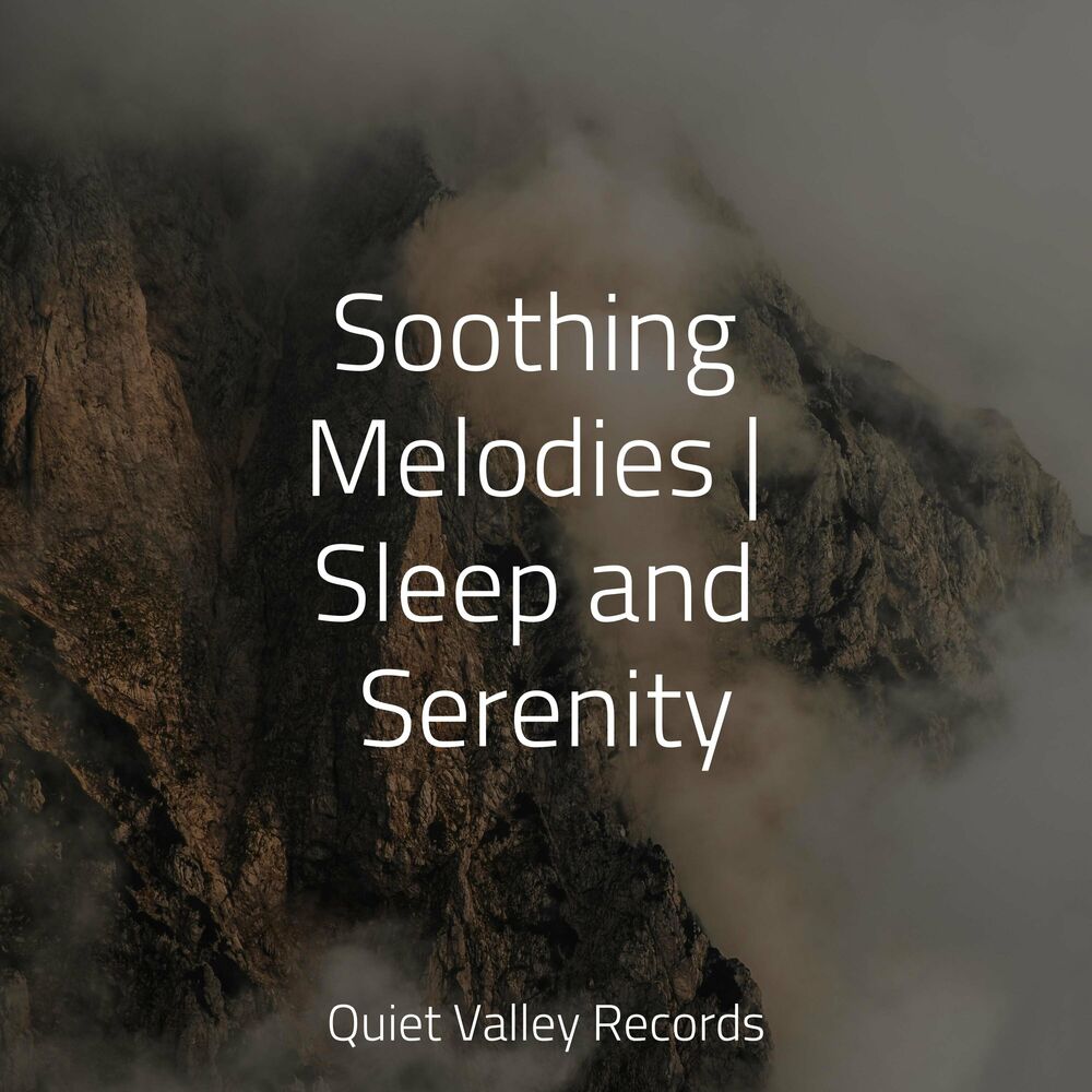 Picture of Soothing Melodies | Sleep and Serenity