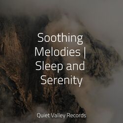 Cover of Soothing Melodies | Sleep and Serenity