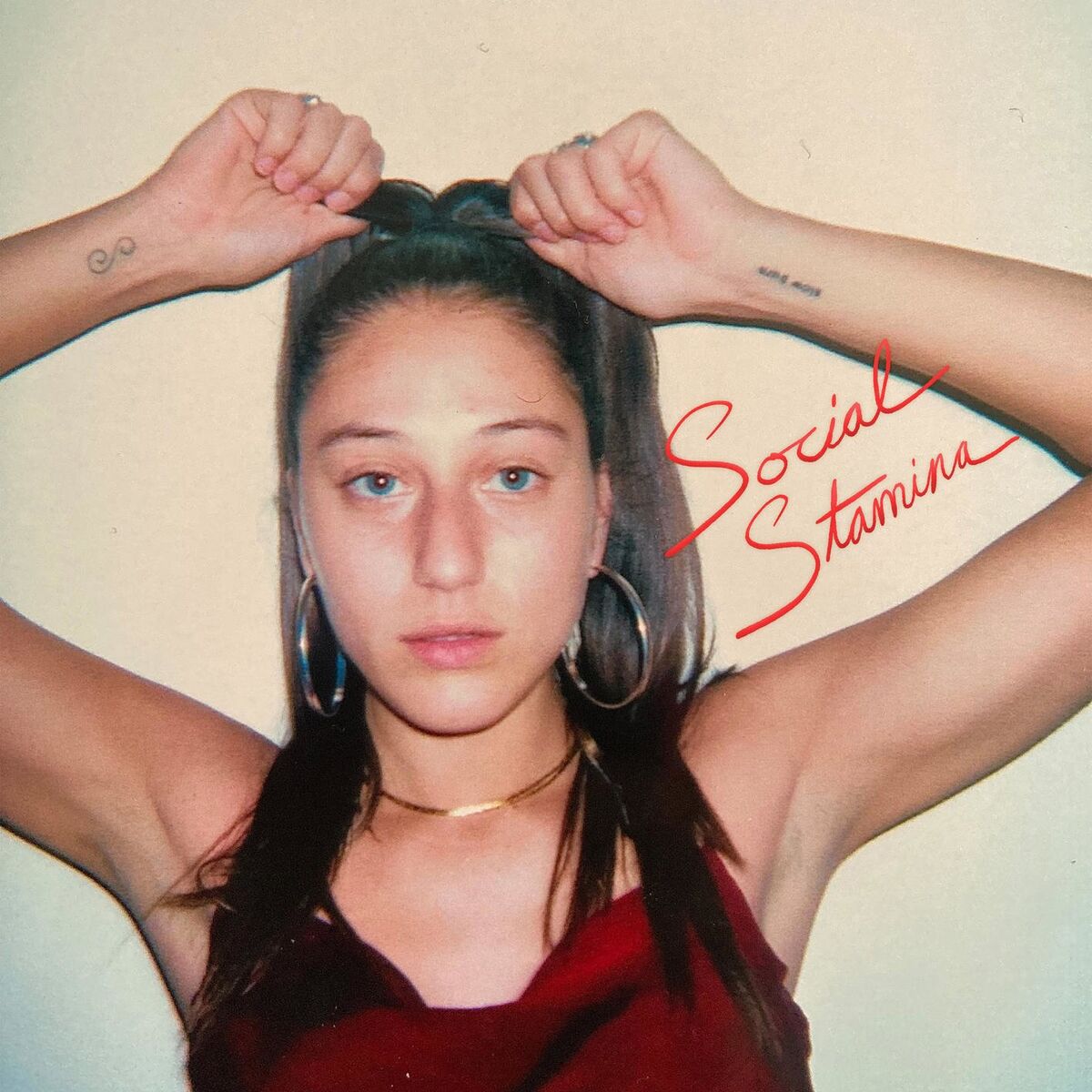 Album cover of Social Stamina