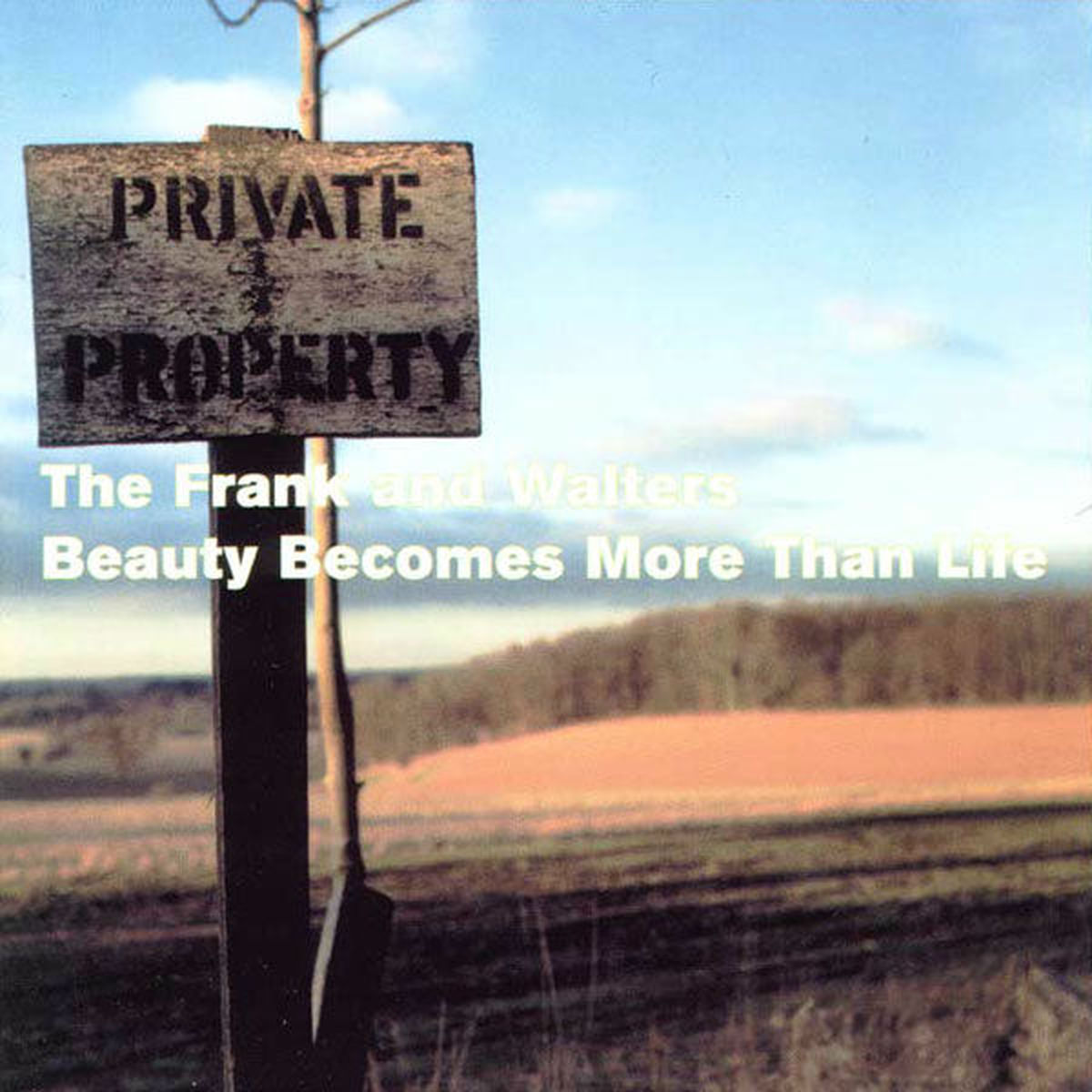 Album cover of Beauty Becomes More Than Life