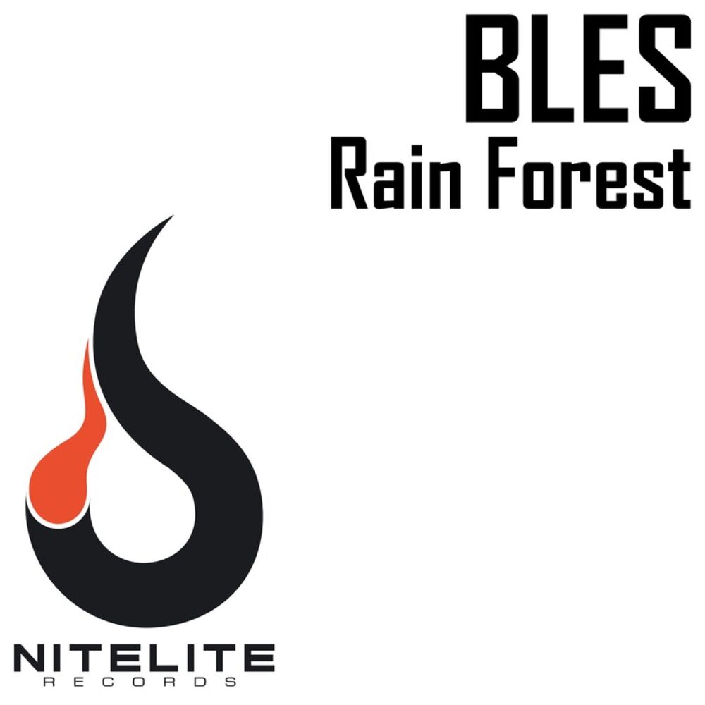 Picture of Rain Forest