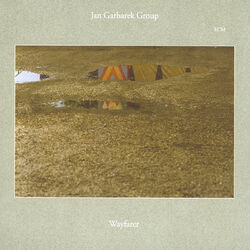 Cover of Wayfarer