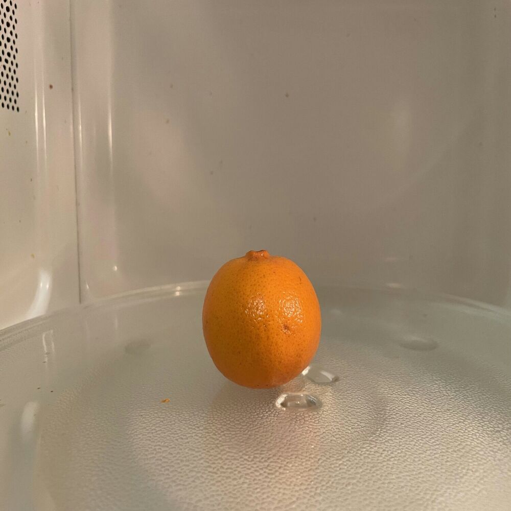 Picture of Songs to Microwave an Orange To