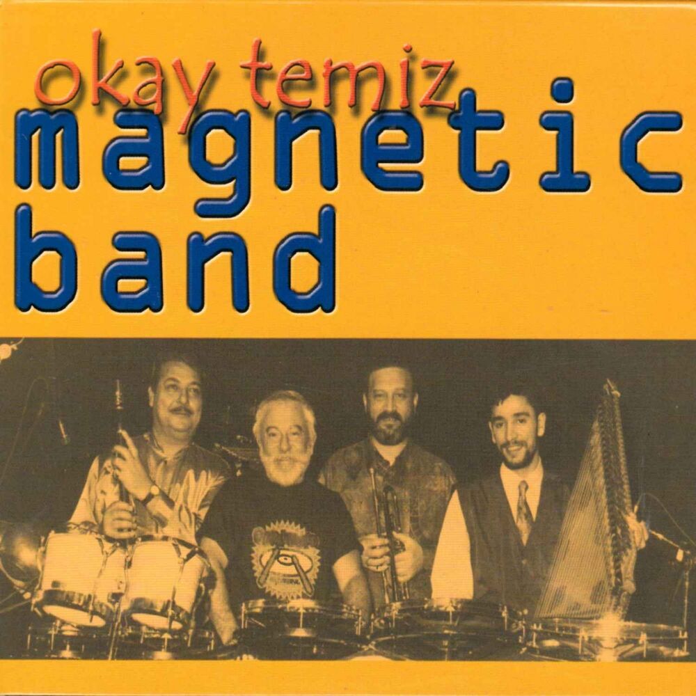 Picture of Magnetic Band