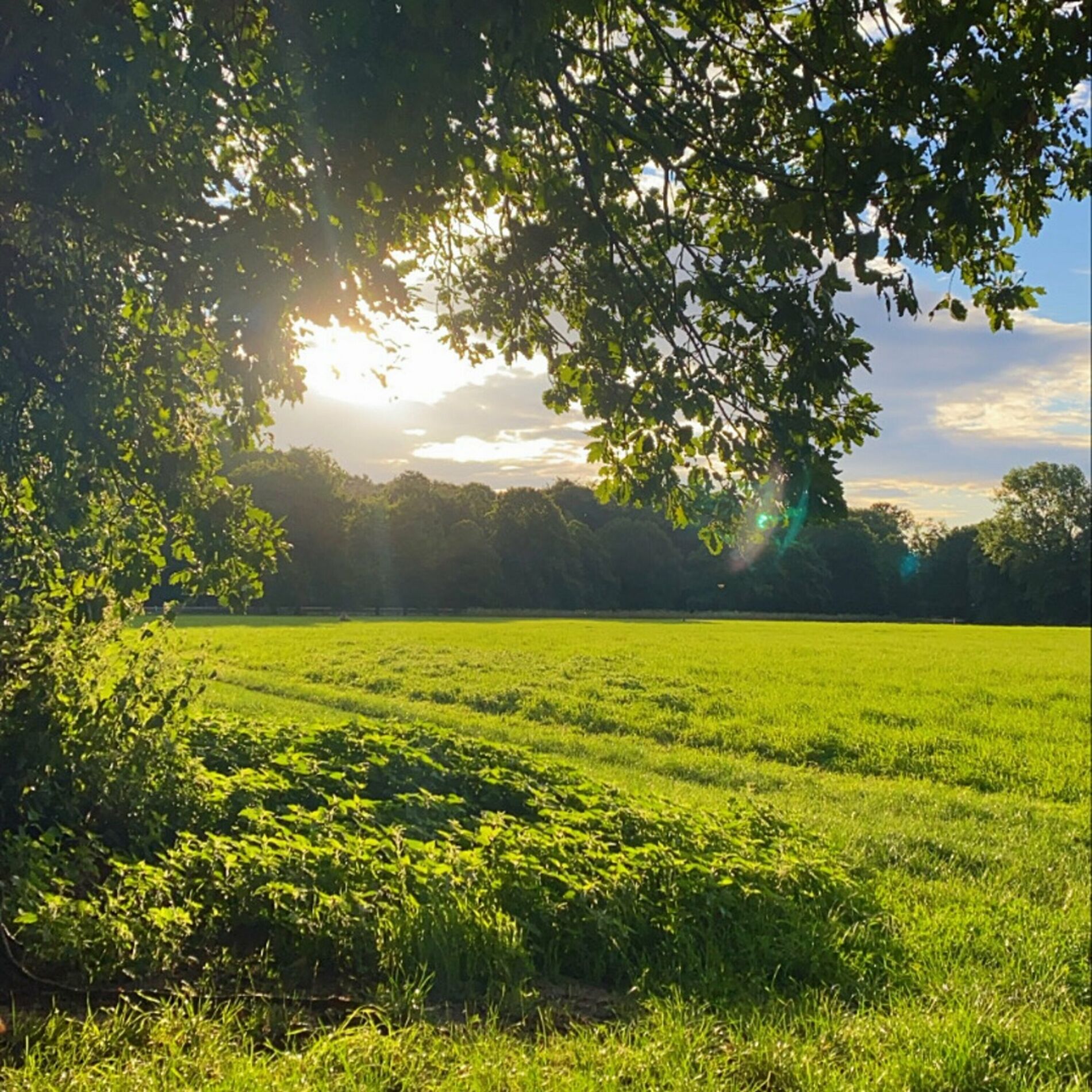 Album cover of spring time