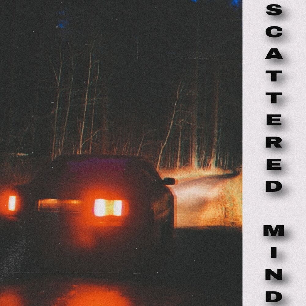 Picture of SCATTERED MIND
