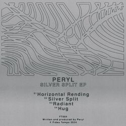 Cover of Silver Split
