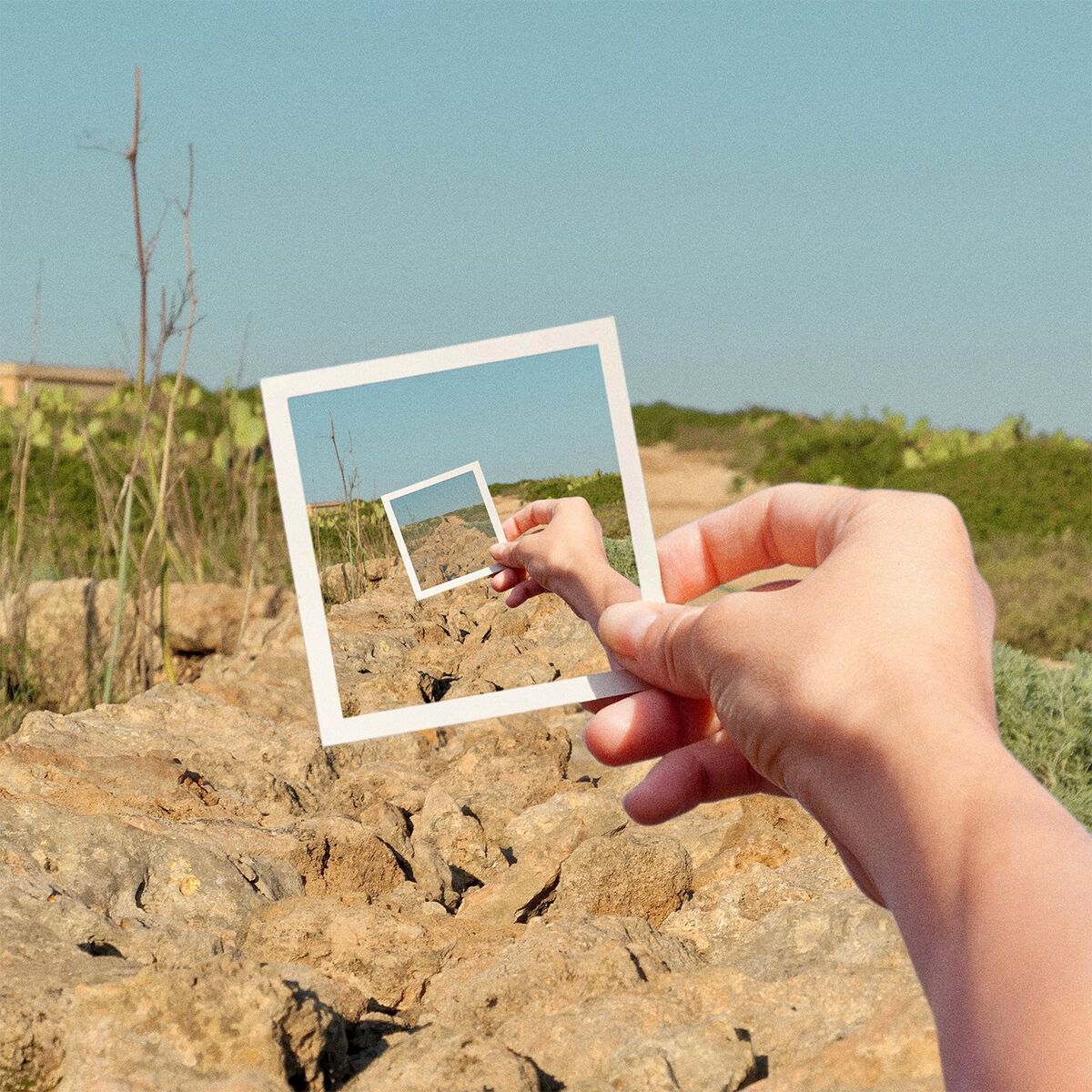 Album cover of Dot