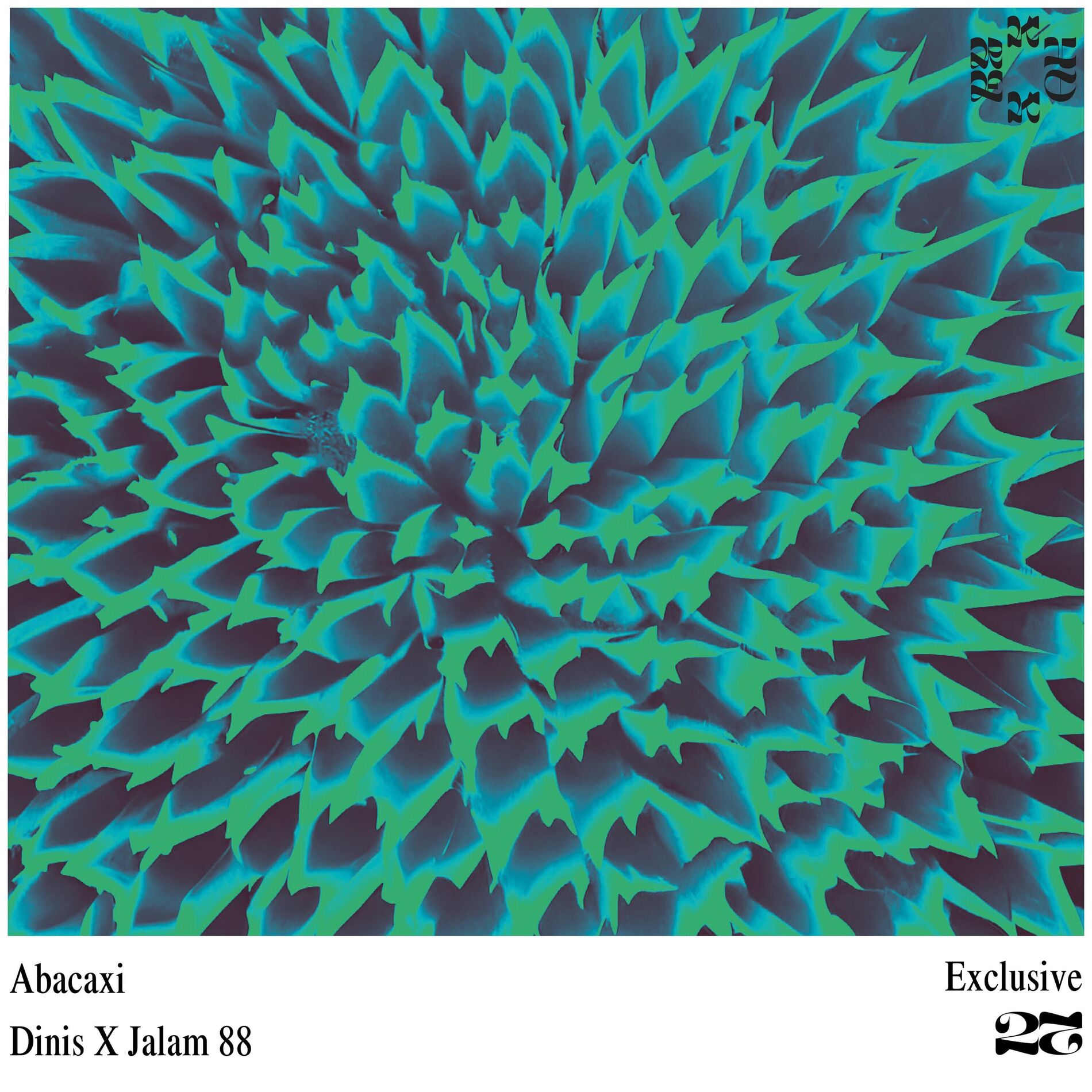 Album cover of Abacaxi