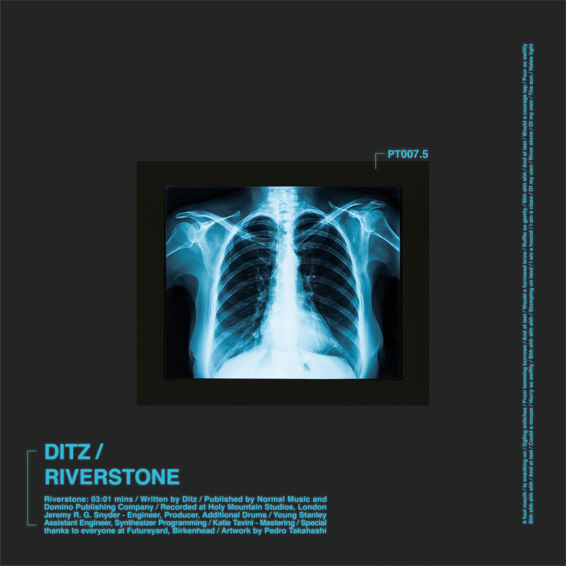 Album cover of Riverstone