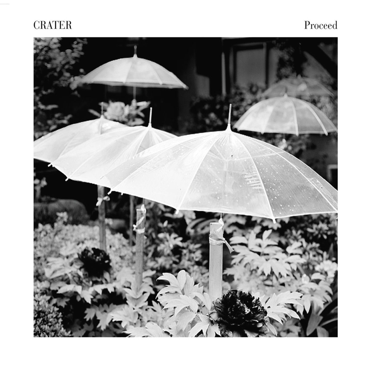 Album cover of Proceed