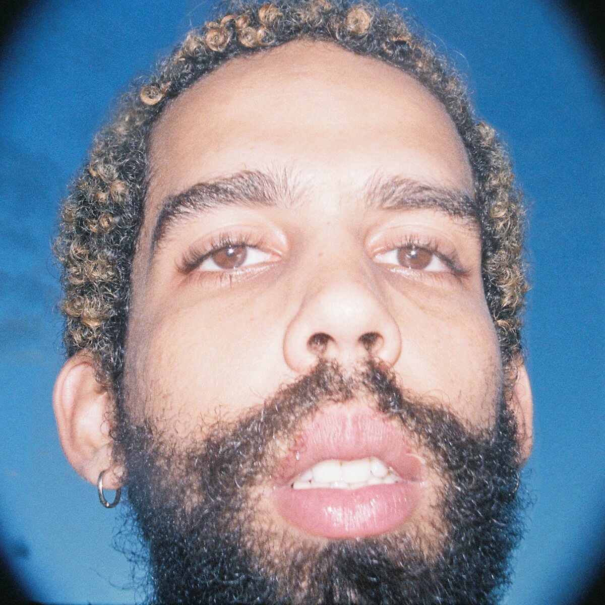 Album cover of No Reino Dos Afetos