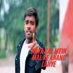Cover of Naya Sal Mein Mal Ke Anand Lijiye