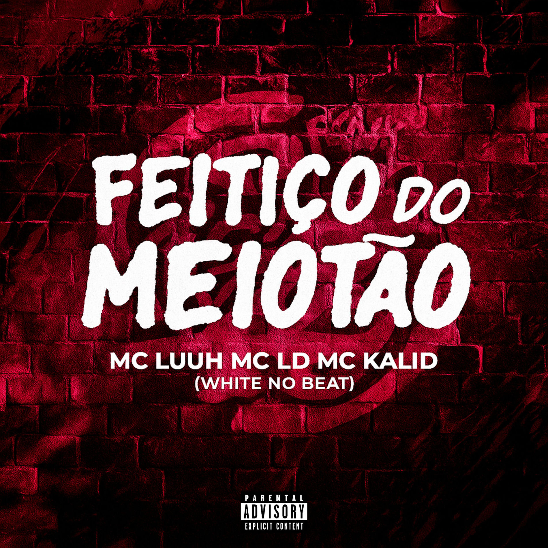 Album cover of Feitiço do Meiotão