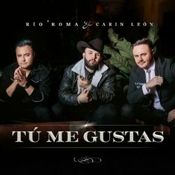 Cover of Tú Me Gustas