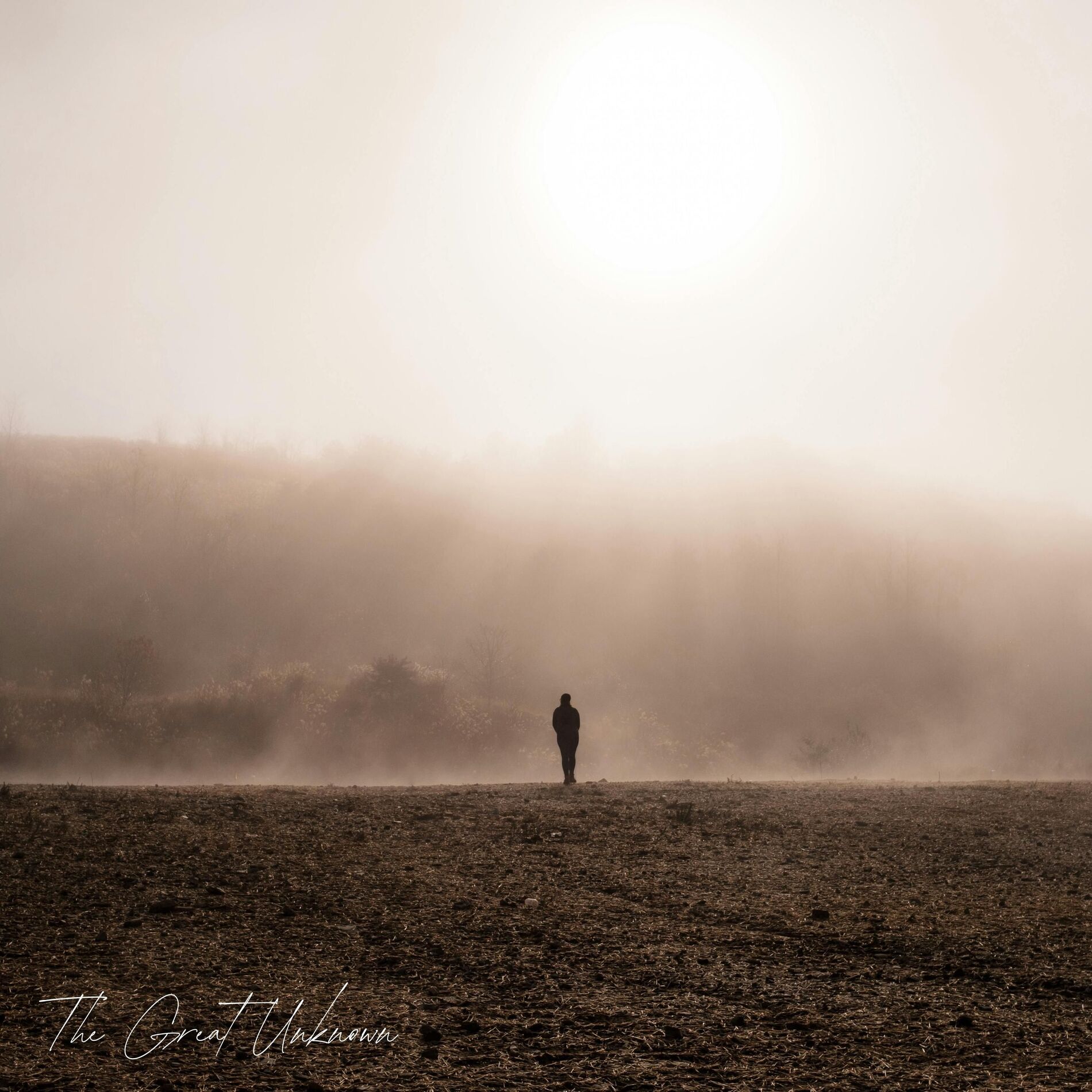 Album cover of The Great Unknown