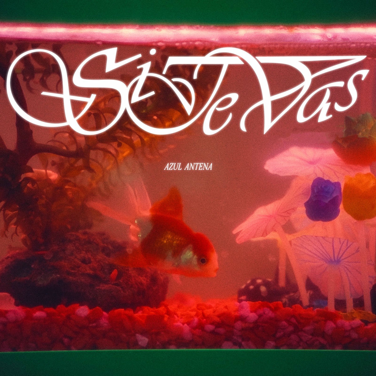 Album cover of Si Te Vas